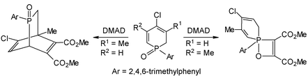 Graphical abstract: The reaction of 1-(2,4,6-trimethylphenyl)-1,2-dihydrophosphinine 1-oxides with dimethyl acetylenedicarboxylate; a [4+2] or a [2+2] cycloaddition?