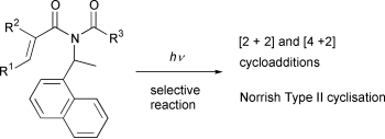 Graphical abstract: Highly peri- and stereoselective intramolecular photocycloaddition and cyclisation of N-(1-naphthylethyl)prop-2-enamides