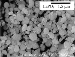 Graphical abstract: The preparation of rare earth phosphate fine particles in an emulsion liquid membrane system