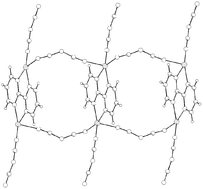 Graphical abstract: Syntheses, crystal structures and magnetic properties of copper(ii) dicyanamide complexes; dinuclear, chain and ladder compounds