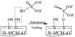 Graphical abstract: Generation of Brønsted acid sites on Si-MCM-41 by grafting of phosphorus species