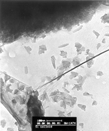 Graphical abstract: Efficient microwave hydrothermal preparation of nanocrystalline anatase TiO2 colloids