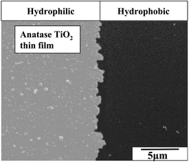 Graphical abstract: Micropatterning of anatase TiO2 thin films from an aqueous solution by a site-selective immersion method