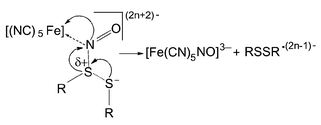 Graphical abstract: Reactions of the [Fe(CN)5NO]2− complex with biologically relevant thiols