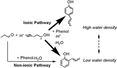 Graphical abstract: Regioselectivity of phenol alkylation in supercritical water