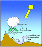 Graphical abstract: Changes in tropospheric composition and air quality due to stratospheric ozone depletion