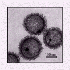 Graphical abstract: Fabrication of nanocapsules with Au particles trapped inside carbon and silica nanoporous shells