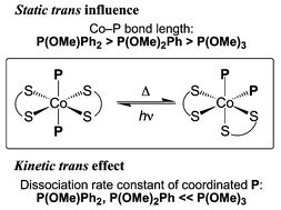 Graphical abstract: Syntheses, crystal structures and isomerization kinetics of a series of [Co(dtc)2{P(OMe)3 − nPhn}2]+ (n = 0–2) complexes (dtc− = N,N-dimethyldithiocarbamate): role of σ-donicity, π-acidity, and cone angle of the P-ligands in the trans influence and trans effect