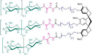 Graphical abstract: Synthesis of novel trivalent amino acid glycoconjugates based on the cyclotriveratrylene (‘CTV’) scaffold