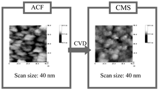 Graphical abstract: A scanning tunnelling microscopy insight into the preparation of carbon molecular sieves by chemical vapour deposition