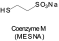 Graphical abstract: Rhenium and technetium-99m complexes with coenzyme M (MESNA)