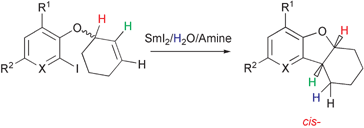 Graphical abstract: Diastereoselective intramolecular SmI2–H2O–amine mediated couplings