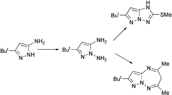 Graphical abstract: Synthesis and chemistry of 3-tert-butyl-1,5-diaminopyrazole