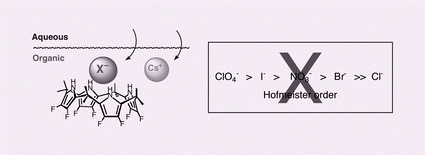 Graphical abstract: Fluorinated calixpyrroles: anion-binding extractants that reduce the Hofmeister bias