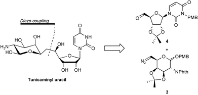Graphical abstract: Synthetic studies towards the tunicamycins and analogues based on diazo chemistry. Total synthesis of tunicaminyl uracil