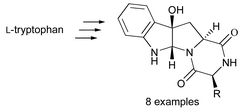 Graphical abstract: A rapid stereocontrolled synthesis of the 3a-hydroxy-pyrrolo[2,3-b]indole skeleton, a building block for 10b-hydroxy-pyrazino[1′,2′:1,5]pyrrolo[2,3-b]indole-1,4-diones