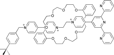 Graphical abstract: Iron(ii) complexes utilising terpyridine containing [2]rotaxanes as ligands