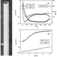 Graphical abstract: Synthesis and magnetoresistance measurement of tellurium microtubes