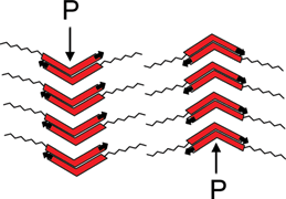 Graphical abstract: Direct transition from a nematic phase to a polar biaxial smectic A phase in a homologous series of unsymmetrically substituted bent-core compounds