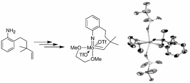 Graphical abstract: Synthesis and structure of an imido-tethered Schrock carbene of molybdenum