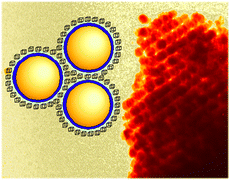 Graphical abstract: Electrostatic self-assembly of structured gold nanoparticle/polyhedral oligomeric silsesquioxane (POSS) nanocomposites