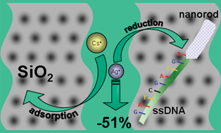 Graphical abstract: Ionic surface masking for low background in single- and double-stranded DNA-templated silver and copper nanorods
