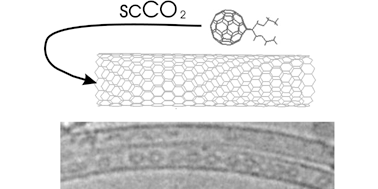 Graphical abstract: Selective host–guest interaction of single-walled carbon nanotubes with functionalised fullerenes