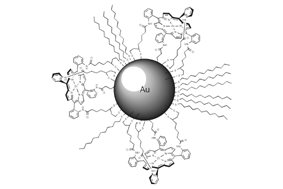 Graphical abstract: Zinc metalloporphyrin-functionalised nanoparticle anion sensors