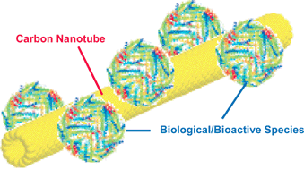 Graphical abstract: Advances toward bioapplications of carbon nanotubes