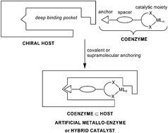 Graphical abstract: Artificial metalloenzymes: proteins as hosts for enantioselective catalysis