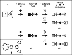 Graphical abstract: Coordinative and electrostatic forces in action: from the design of differential chromogenic anion sensors to selective carboxylate recognition