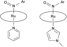 Graphical abstract: Synthesis and molecular structures of nitrosoarene metalloporphyrin complexes of ruthenium