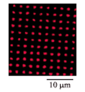 Graphical abstract: Patterning of DNA nanostructures on silicon surface by electron beam lithography of self-assembled monolayer