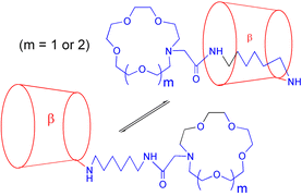 Graphical abstract: Intra- and intermolecular complexation in C(6) monoazacoronand substituted cyclodextrins