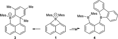 Graphical abstract: Reactivity of the dimesityl-1,8-naphthalenediylborate anion: isolation of the borataalkene isomer and synthesis of 1,8-diborylnaphthalenes