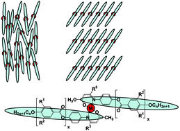 Graphical abstract: Rodlike metallomesogens containing nickel(ii), palladium(ii) and copper(ii) based on novel enaminoketonato ligands