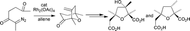 Graphical abstract: Use of allene in 1,3-dipolar addition to a carbonyl ylide: syntheses of 3-hydroxy-cis-nemorensic acid and nemorensic acid