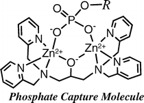 Graphical abstract: Recognition of phosphate monoester dianion by an alkoxide-bridged dinuclear zinc(ii) complex