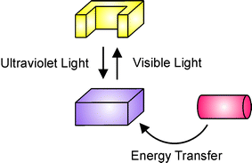 Graphical abstract: Electron and energy transfer modulation with photochromic switches