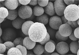 Graphical abstract: Porous calcium carbonate microparticles as templates for encapsulation of bioactive compounds