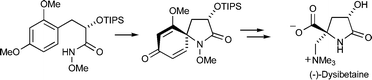 Graphical abstract: Total synthesis of (−)-dysibetaine via a nitrenium ion cyclization–dienone cleavage strategy