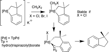 Graphical abstract: Reactivity of an anionic Pd(ii) metallacycle with CH2X2 (X = Cl, Br, I): formal insertion of methylene into a Pd–Caryl bond