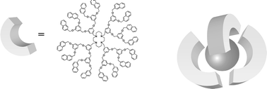 Graphical abstract: Cyclam-based dendrimers as ligands for lanthanide ions