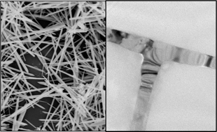 Graphical abstract: Controlled synthesis of crystalline tellurium nanorods, nanowires, nanobelts and related structures by a self-seeding solution process
