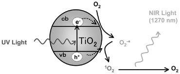 Graphical abstract: Singlet oxygen formation in photocatalytic TiO2 aqueous suspension