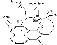 Graphical abstract: An inhibit (INH) molecular logic gate based on 1,8-naphthalimide-sensitised europium luminescence