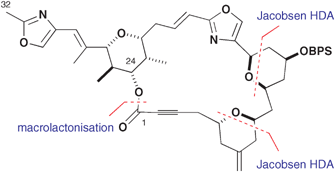 Graphical abstract: Phorboxazole B synthetic studies: construction of C(1–32) and C(33–46) subtargets
