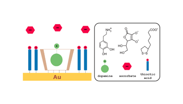 Graphical abstract: A supramolecular approach to the selective detection of dopamine in the presence of ascorbate