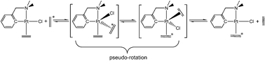 Graphical abstract: Pseudo-rotation mechanism for fast olefin exchange and substitution processes at orthometalated C,N-complexes of platinum(ii)