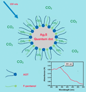 Graphical abstract: Synthesis of Ag2S quantum dots in water-in-CO2 microemulsions